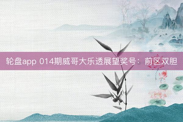 轮盘app 014期威哥大乐透展望奖号：前区双胆