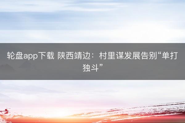 轮盘app下载 陕西靖边:村里谋发展告别“单打独斗”