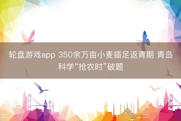 轮盘游戏app 350余万亩小麦插足返青期 青岛科学“抢农时”破题
