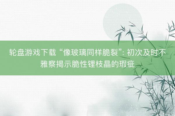 轮盘游戏下载 “像玻璃同样脆裂”: 初次及时不雅察揭示脆性锂枝晶的瑕疵