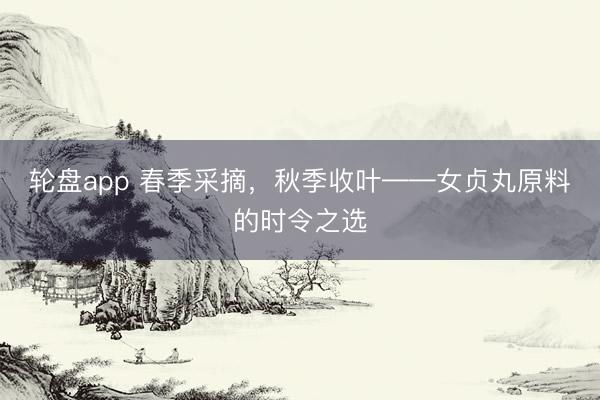 轮盘app 春季采摘，秋季收叶——女贞丸原料的时令之选