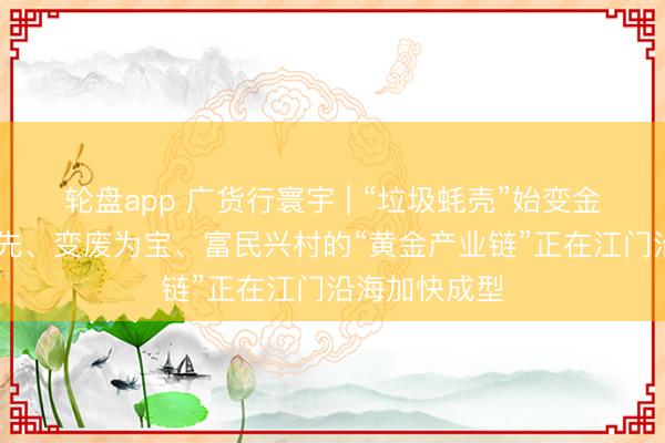 轮盘app 广货行寰宇 | “垃圾蚝壳”始变金 一条生态优先、变废为宝、富民兴村的“黄金产业链”正在江门沿海加快成型