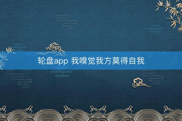 轮盘app 我嗅觉我方莫得自我