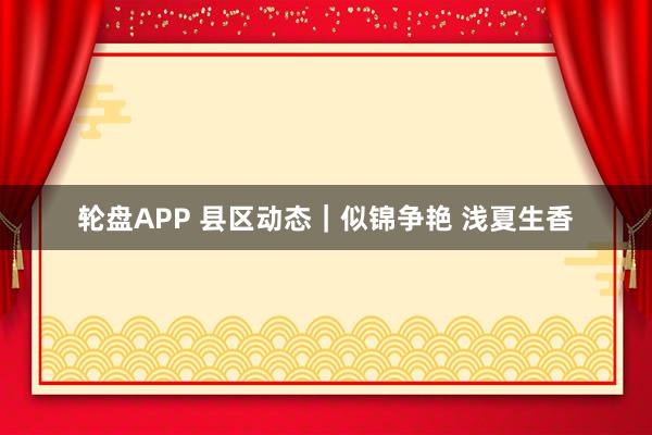 轮盘APP 县区动态|似锦争艳 浅夏生香