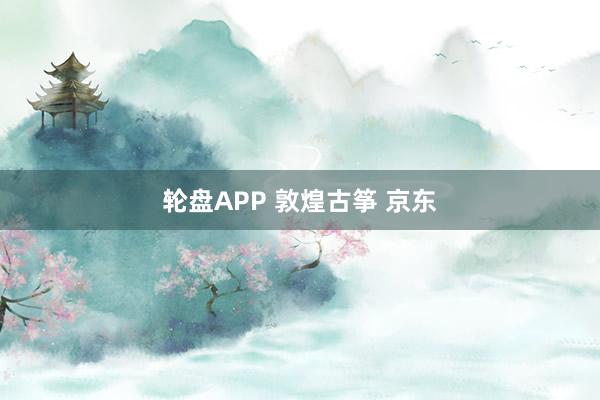 轮盘APP 敦煌古筝 京东