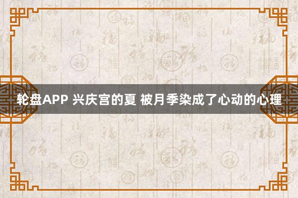 轮盘APP 兴庆宫的夏 被月季染成了心动的心理