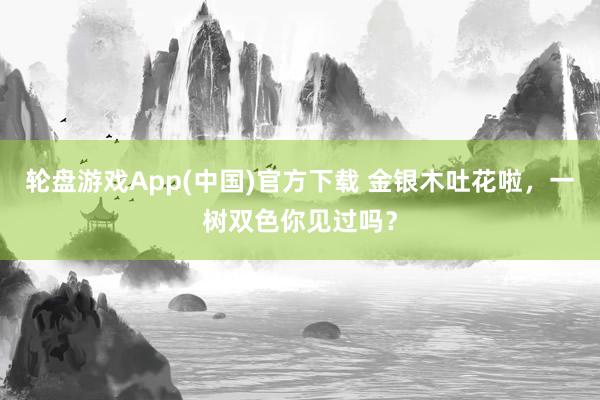轮盘游戏App(中国)官方下载 金银木吐花啦,一树双色你见过吗?