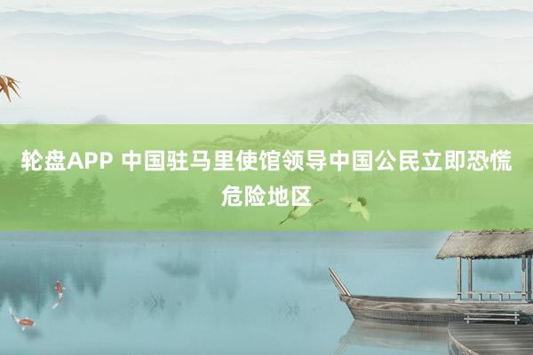 轮盘APP 中国驻马里使馆领导中国公民立即恐慌危险地区