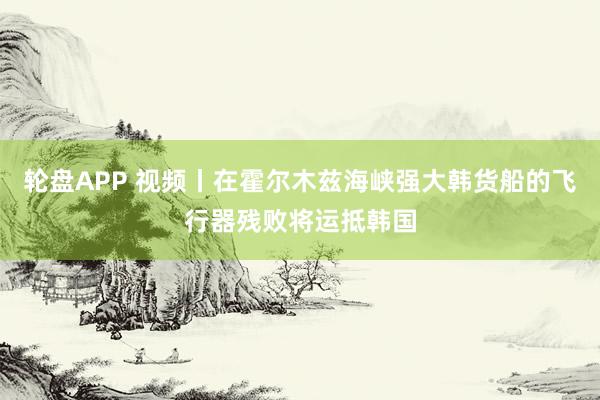 轮盘APP 视频丨在霍尔木兹海峡强大韩货船的飞行器残败将运抵韩国