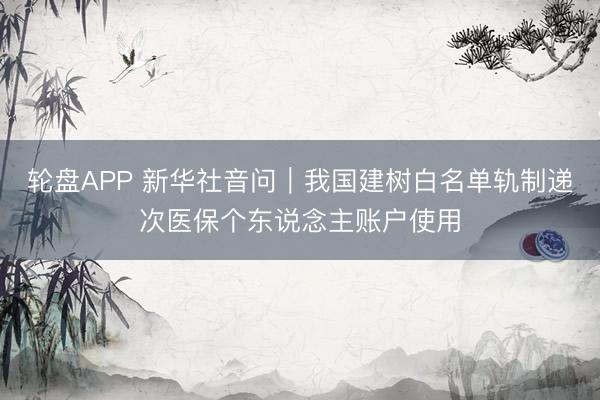 轮盘APP 新华社音问｜我国建树白名单轨制递次医保个东说念主账户使用
