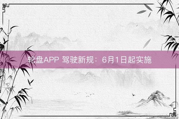 轮盘APP 驾驶新规：6月1日起实施