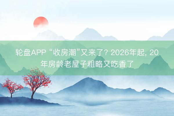 轮盘APP “收房潮”又来了? 2026年起， 20年房龄老屋子粗略又吃香了