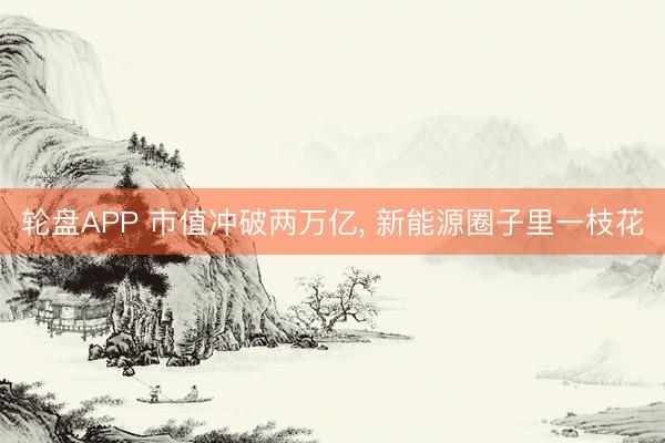 轮盘APP 市值冲破两万亿， 新能源圈子里一枝花