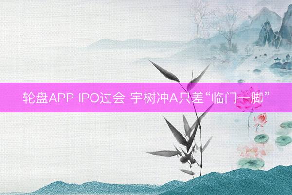 轮盘APP IPO过会 宇树冲A只差“临门一脚”