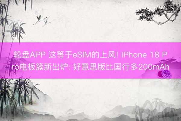 轮盘APP 这等于eSIM的上风! iPhone 18 Pro电板簇新出炉: 好意思版比国行多200mAh