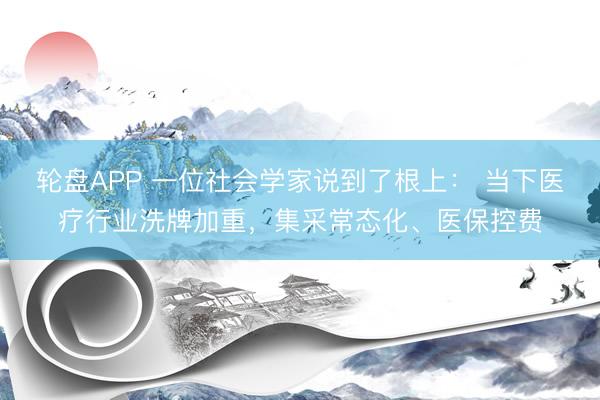 轮盘APP 一位社会学家说到了根上： 当下医疗行业洗牌加重，集采常态化、医保控费