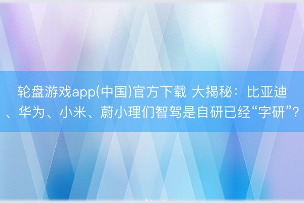 轮盘游戏app(中国)官方下载 大揭秘:比亚迪、华为、小米、蔚小理们智驾是自研已经“字研”?
