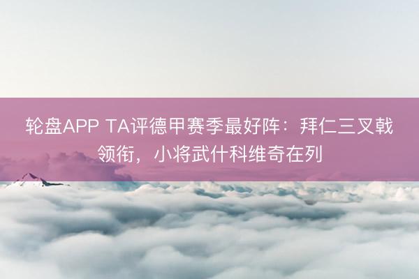 轮盘APP TA评德甲赛季最好阵：拜仁三叉戟领衔，小将武什科维奇在列