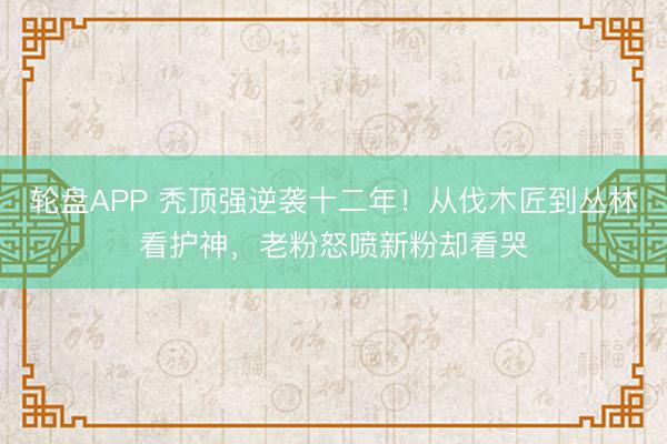 轮盘APP 秃顶强逆袭十二年！从伐木匠到丛林看护神，老粉怒喷新粉却看哭