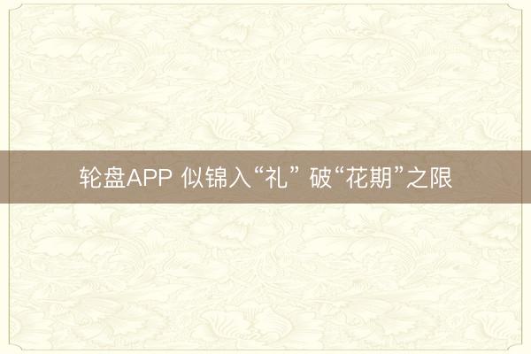 轮盘APP 似锦入“礼” 破“花期”之限