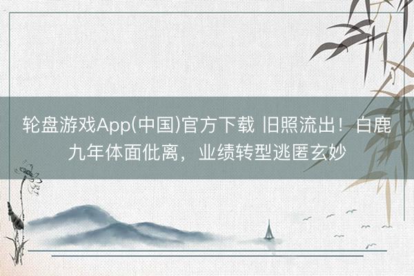 轮盘游戏App(中国)官方下载 旧照流出！白鹿九年体面仳离，业绩转型逃匿玄妙