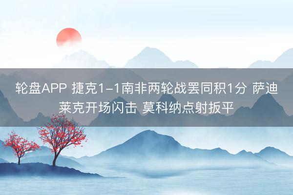 轮盘APP 捷克1-1南非两轮战罢同积1分 萨迪莱克开场闪击 莫科纳点射扳平